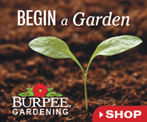 Burpee Gardening Ad